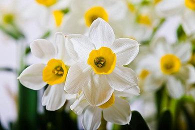 《极品飞车：不羁》将获得第二年支持 路线图公开